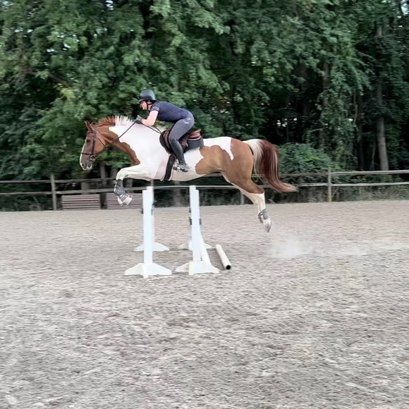 Meet your Posher, Laura - Picture 1 of 1